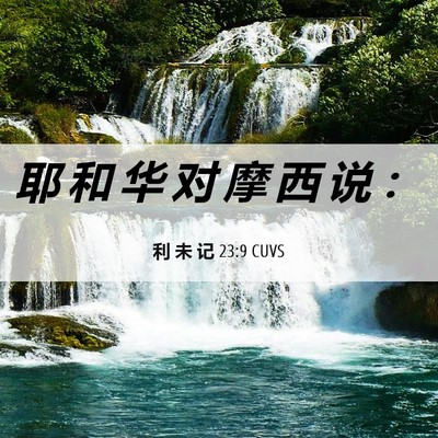 Picture 06 - 利 未 记 23:9 CUVS - 耶 和 华 对 摩 西 说 - Bible Verse Picture