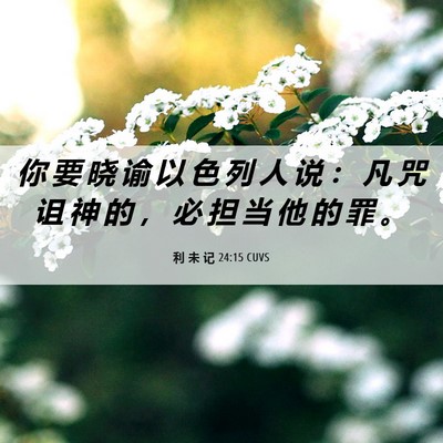 Picture 06 - 利 未 记 24:15 CUVS - 你 要 晓 谕 以 色 列 人 说 ： 凡 咒 - Bible Verse Picture