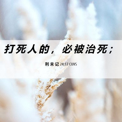 Picture 06 - 利 未 记 24:17 CUVS - 打 死 人 的 ， 必 被 治 死 - Bible Verse Picture