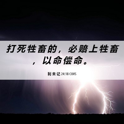 Picture 06 - 利 未 记 24:18 CUVS - 打 死 牲 畜 的 ， 必 赔 上 牲 畜 ， - Bible Verse Picture