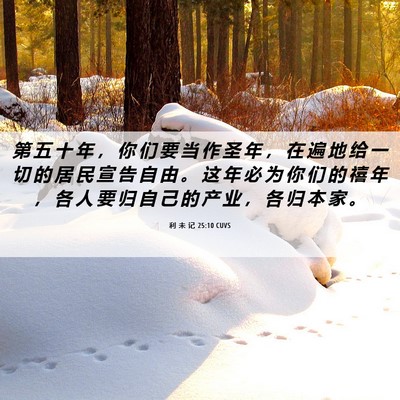 Picture 06 - 利 未 记 25:10 CUVS - 第 五 十 年 ， 你 们 要 当 作 圣 年 - Bible Verse Picture