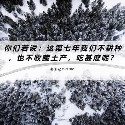 Picture 06 - 利 未 记 25:20 CUVS - 你 们 若 说 ： 这 第 七 年 我 们 不 - Bible Verse Picture