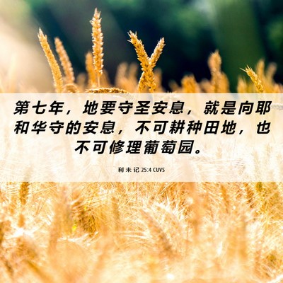 Picture 06 - 利 未 记 25:4 CUVS - 第 七 年 ， 地 要 守 圣 安 息 ， 就 - Bible Verse Picture