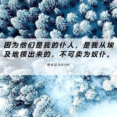 Picture 06 - 利 未 记 25:42 CUVS - 因 为 他 们 是 我 的 仆 人 ， 是 我 - Bible Verse Picture
