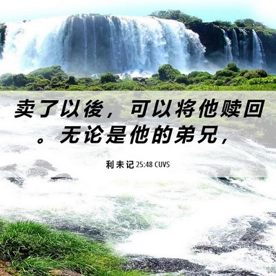 Picture 06 - 利 未 记 25:48 CUVS - 卖 了 以 後 ， 可 以 将 他 赎 回 。 - Bible Verse Picture