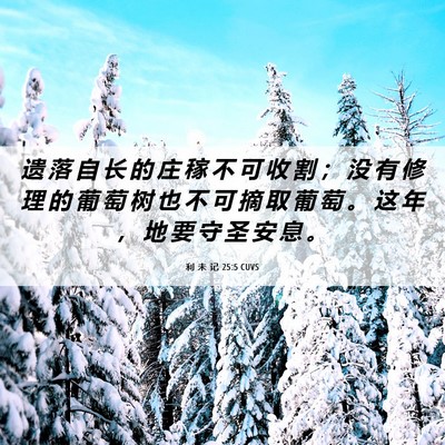 Picture 06 - 利 未 记 25:5 CUVS - 遗 落 自 长 的 庄 稼 不 可 收 割 ； - Bible Verse Picture