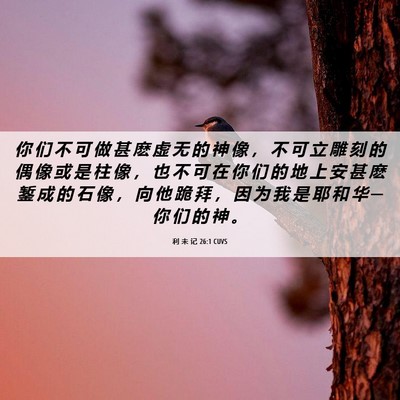 Picture 06 - 利 未 记 26:1 CUVS - 你 们 不 可 做 甚 麽 虚 无 的 神 像 - Bible Verse Picture