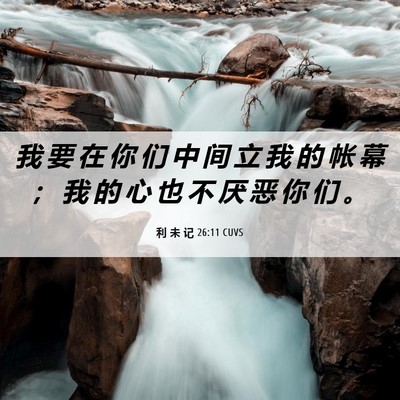 Picture 06 - 利 未 记 26:11 CUVS - 我 要 在 你 们 中 间 立 我 的 帐 幕 - Bible Verse Picture
