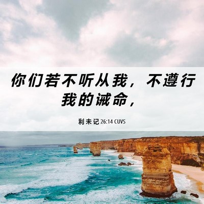 Picture 06 - 利 未 记 26:14 CUVS - 你 们 若 不 听 从 我 ， 不 遵 行 我 - Bible Verse Picture