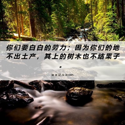 Picture 06 - 利 未 记 26:20 CUVS - 你 们 要 白 白 的 劳 力 ； 因 为 你 - Bible Verse Picture