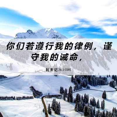 Picture 06 - 利 未 记 26:3 CUVS - 你 们 若 遵 行 我 的 律 例 ， 谨 守 - Bible Verse Picture