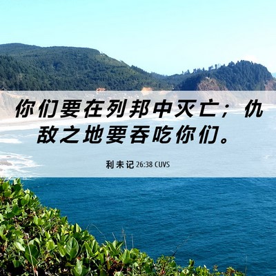 Picture 06 - 利 未 记 26:38 CUVS - 你 们 要 在 列 邦 中 灭 亡 ； 仇 敌 - Bible Verse Picture
