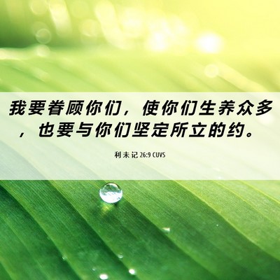 Picture 06 - 利 未 记 26:9 CUVS - 我 要 眷 顾 你 们 ， 使 你 们 生 养 - Bible Verse Picture