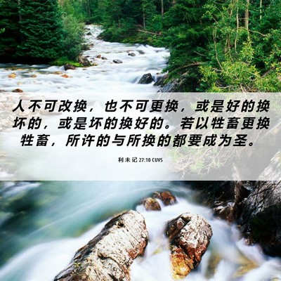 Picture 06 - 利 未 记 27:10 CUVS - 人 不 可 改 换 ， 也 不 可 更 换 ， - Bible Verse Picture