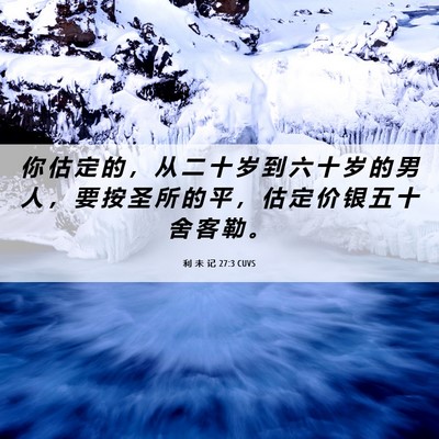 Picture 06 - 利 未 记 27:3 CUVS - 你 估 定 的 ， 从 二 十 岁 到 六 十 - Bible Verse Picture