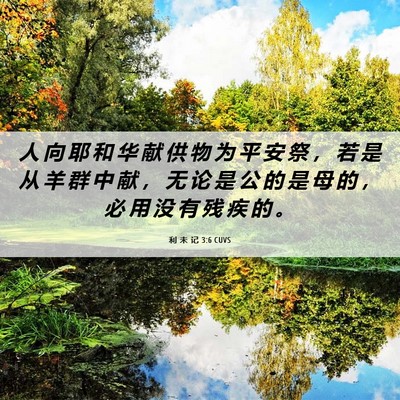 Picture 06 - 利 未 记 3:6 CUVS - 人 向 耶 和 华 献 供 物 为 平 安 祭 - Bible Verse Picture