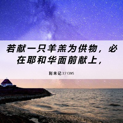 Picture 06 - 利 未 记 3:7 CUVS - 若 献 一 只 羊 羔 为 供 物 ， 必 在 - Bible Verse Picture