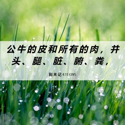 Picture 06 - 利 未 记 4:11 CUVS - 公 牛 的 皮 和 所 有 的 肉 ， 并 头 - Bible Verse Picture