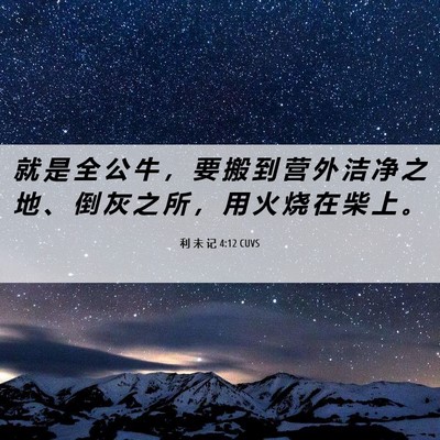 Picture 06 - 利 未 记 4:12 CUVS - 就 是 全 公 牛 ， 要 搬 到 营 外 洁 - Bible Verse Picture