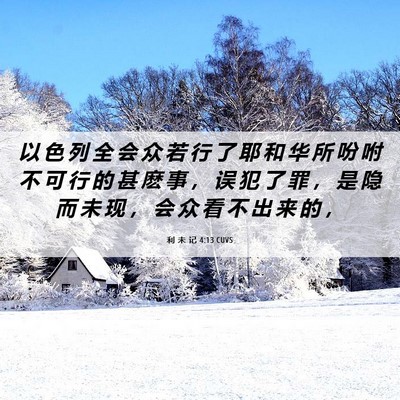Picture 06 - 利 未 记 4:13 CUVS - 以 色 列 全 会 众 若 行 了 耶 和 华 - Bible Verse Picture