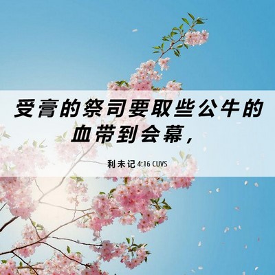 Picture 06 - 利 未 记 4:16 CUVS - 受 膏 的 祭 司 要 取 些 公 牛 的 血 - Bible Verse Picture