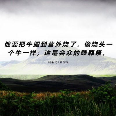 Picture 06 - 利 未 记 4:21 CUVS - 他 要 把 牛 搬 到 营 外 烧 了 ， 像 - Bible Verse Picture
