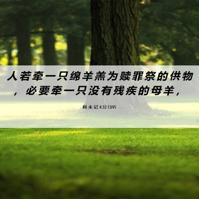 Picture 06 - 利 未 记 4:32 CUVS - 人 若 牵 一 只 绵 羊 羔 为 赎 罪 祭 - Bible Verse Picture
