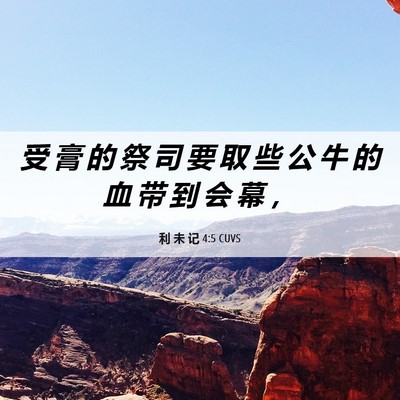 Picture 06 - 利 未 记 4:5 CUVS - 受 膏 的 祭 司 要 取 些 公 牛 的 血 - Bible Verse Picture