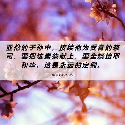 Picture 06 - 利 未 记 6:22 CUVS - 亚 伦 的 子 孙 中 ， 接 续 他 为 受 - Bible Verse Picture