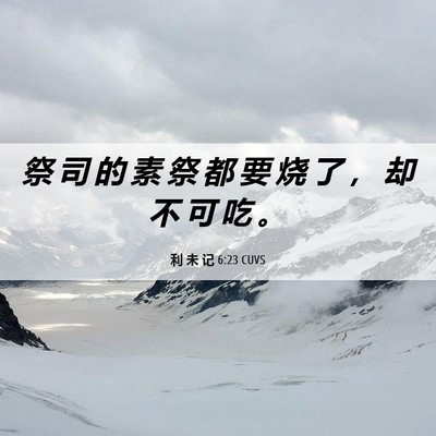 Picture 06 - 利 未 记 6:23 CUVS - 祭 司 的 素 祭 都 要 烧 了 ， 却 不 - Bible Verse Picture