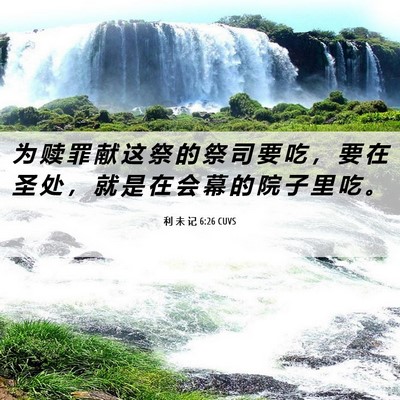 Picture 06 - 利 未 记 6:26 CUVS - 为 赎 罪 献 这 祭 的 祭 司 要 吃 ， - Bible Verse Picture