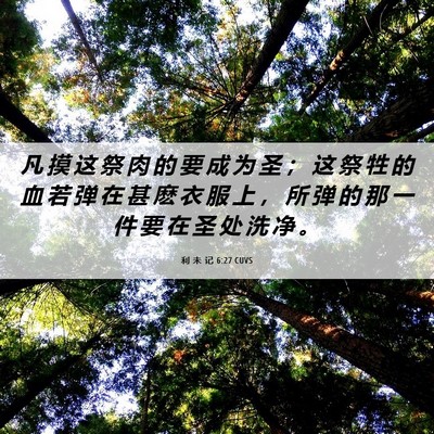 Picture 06 - 利 未 记 6:27 CUVS - 凡 摸 这 祭 肉 的 要 成 为 圣 ； 这 - Bible Verse Picture