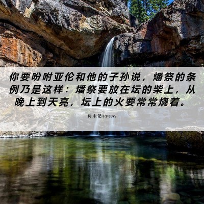 Picture 06 - 利 未 记 6:9 CUVS - 你 要 吩 咐 亚 伦 和 他 的 子 孙 说 - Bible Verse Picture