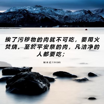Picture 06 - 利 未 记 7:19 CUVS - 挨 了 污 秽 物 的 肉 就 不 可 吃 ， - Bible Verse Picture