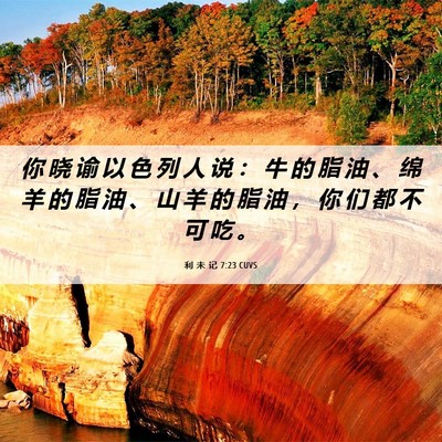 Picture 06 - 利 未 记 7:23 CUVS - 你 晓 谕 以 色 列 人 说 ： 牛 的 脂 - Bible Verse Picture
