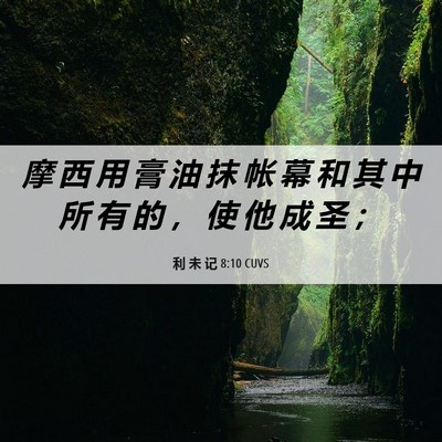 Picture 06 - 利 未 记 8:10 CUVS - 摩 西 用 膏 油 抹 帐 幕 和 其 中 所 - Bible Verse Picture