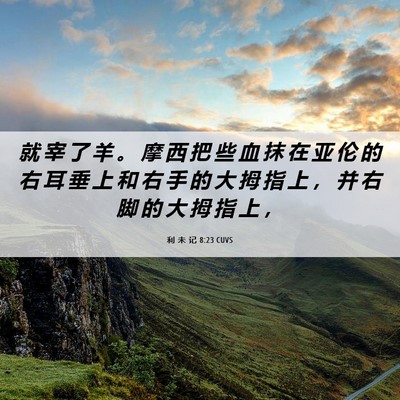 Picture 06 - 利 未 记 8:23 CUVS - 就 宰 了 羊 。 摩 西 把 些 血 抹 在 - Bible Verse Picture