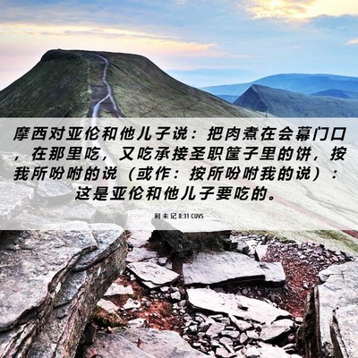 Picture 06 - 利 未 记 8:31 CUVS - 摩 西 对 亚 伦 和 他 儿 子 说 ： 把 - Bible Verse Picture