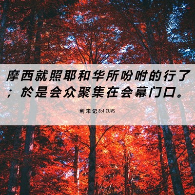Picture 06 - 利 未 记 8:4 CUVS - 摩 西 就 照 耶 和 华 所 吩 咐 的 行 - Bible Verse Picture