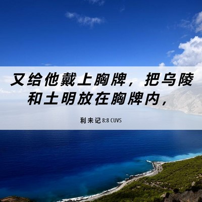 Picture 06 - 利 未 记 8:8 CUVS - 又 给 他 戴 上 胸 牌 ， 把 乌 陵 和 - Bible Verse Picture
