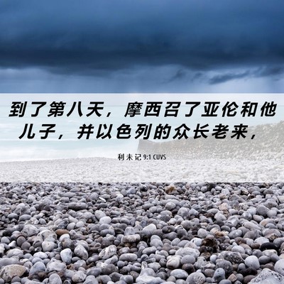 Picture 06 - 利 未 记 9:1 CUVS - 到 了 第 八 天 ， 摩 西 召 了 亚 伦 - Bible Verse Picture
