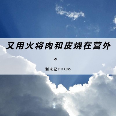 Picture 06 - 利 未 记 9:11 CUVS - 又 用 火 将 肉 和 皮 烧 在 营 外 - Bible Verse Picture