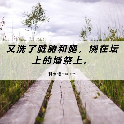 Picture 06 - 利 未 记 9:14 CUVS - 又 洗 了 脏 腑 和 腿 ， 烧 在 坛 上 - Bible Verse Picture