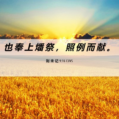 Picture 06 - 利 未 记 9:16 CUVS - 也 奉 上 燔 祭 ， 照 例 而 献 - Bible Verse Picture