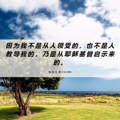 Picture 06 - 加 拉 太 书 1:12 CUVS - 因 为 我 不 是 从 人 领 受 的 ， 也 - Bible Verse Picture