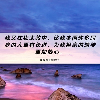 Picture 06 - 加 拉 太 书 1:14 CUVS - 我 又 在 犹 太 教 中 ， 比 我 本 国 - Bible Verse Picture