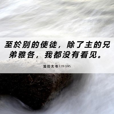 Picture 06 - 加 拉 太 书 1:19 CUVS - 至 於 别 的 使 徒 ， 除 了 主 的 兄 - Bible Verse Picture