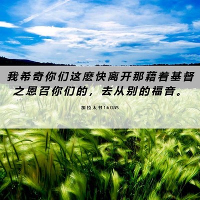 Picture 06 - 加 拉 太 书 1:6 CUVS - 我 希 奇 你 们 这 麽 快 离 开 那 藉 - Bible Verse Picture