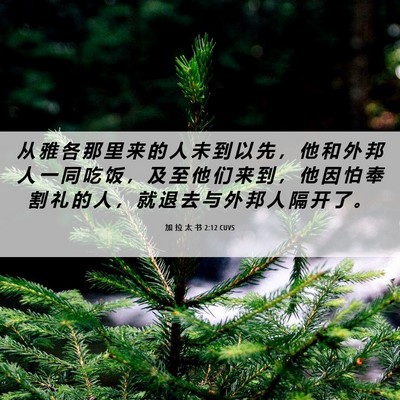 Picture 06 - 加 拉 太 书 2:12 CUVS - 从 雅 各 那 里 来 的 人 未 到 以 先 - Bible Verse Picture