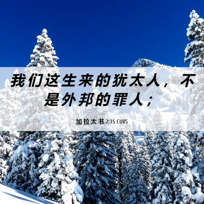 Picture 06 - 加 拉 太 书 2:15 CUVS - 我 们 这 生 来 的 犹 太 人 ， 不 是 - Bible Verse Picture